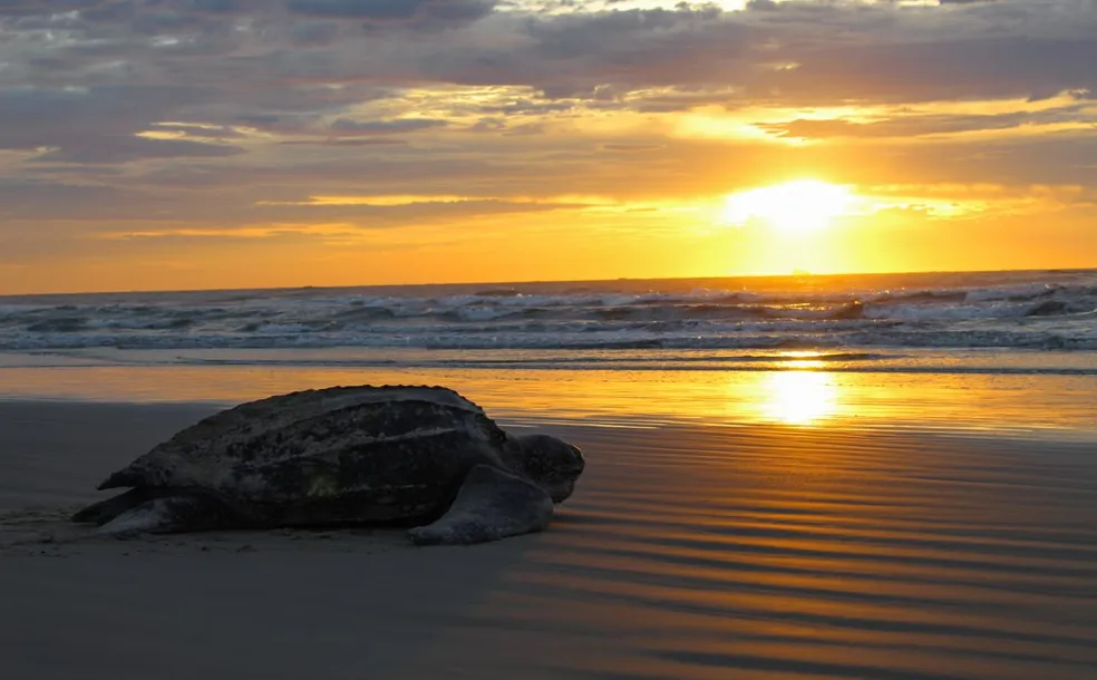 Foto da Casa Beira Mar - praia.webp